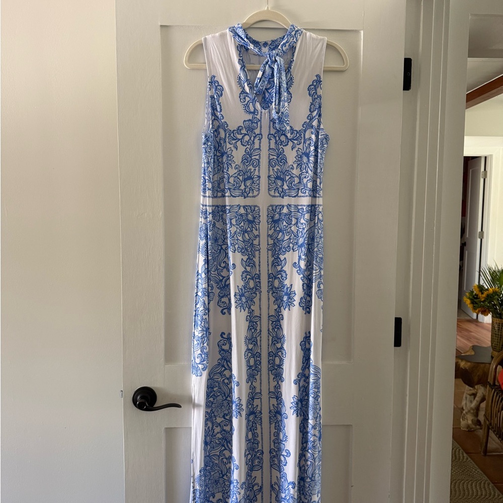 White & Blue Sleeveless Maxi Dress - Elegant Printed Summer Dress - Picture 6 of 6